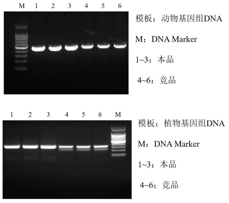 2×PAGE專用Taq PCR預混液（核酸提取）